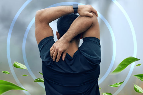 Zana Herbal Blogs - Alkaloids for Athletes