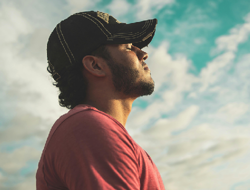 Zana Herbal Blogs - Alkaloids Role in Stress Management