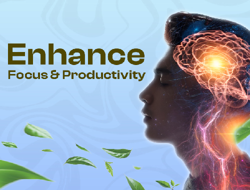 Zana Herbal Blogs - How Alkaloids Can Improve Focus