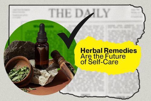 Zana Herbal Blogs - Clean, Herbal Remedies of Self-Care