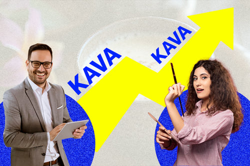 Zana Herbal Blogs - Why Kava Is Gaining Popularity