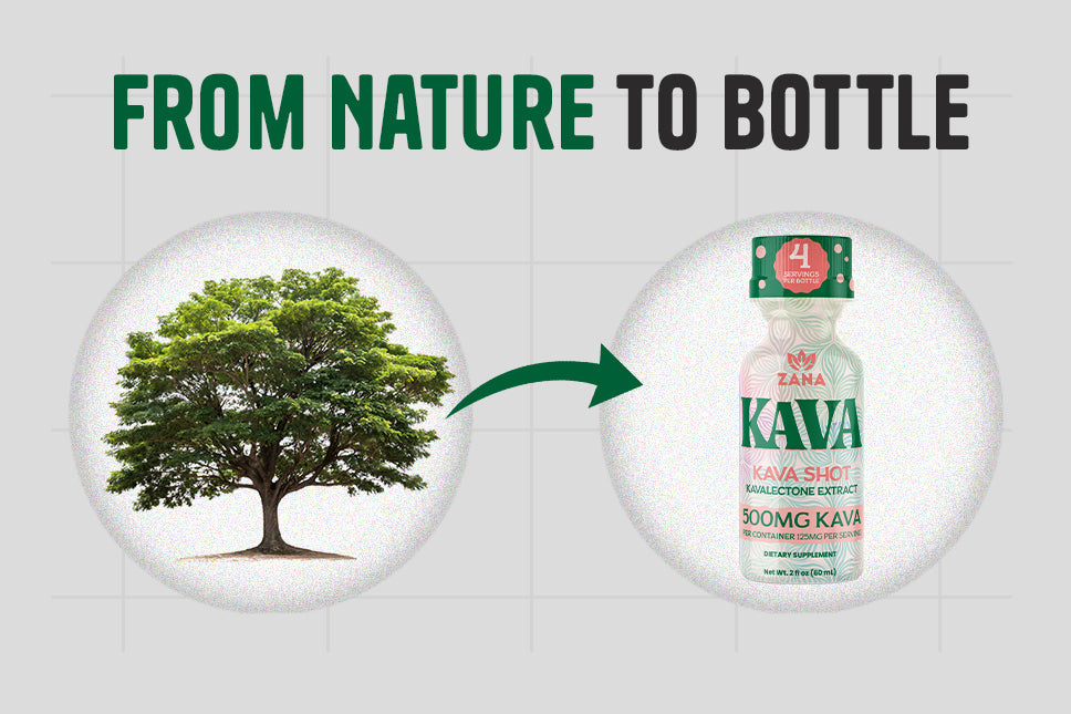 From Nature to Bottle: Top Plant-Based Alkaloids Revolutionizing Energy Drinks in 2025