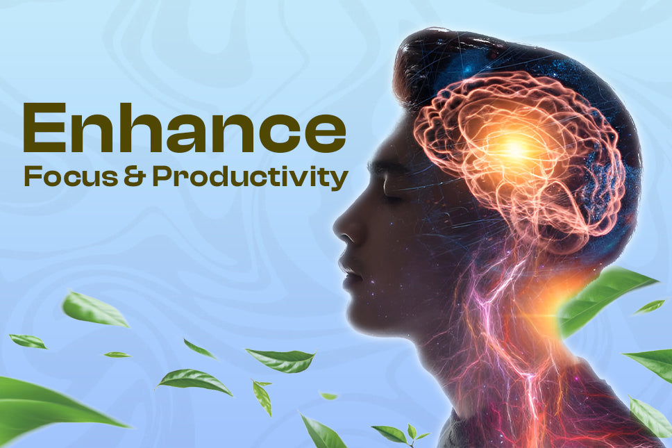 How  Alkaloids Can Improve Focus and Productivity: A Natural Remedy for Busy Lives