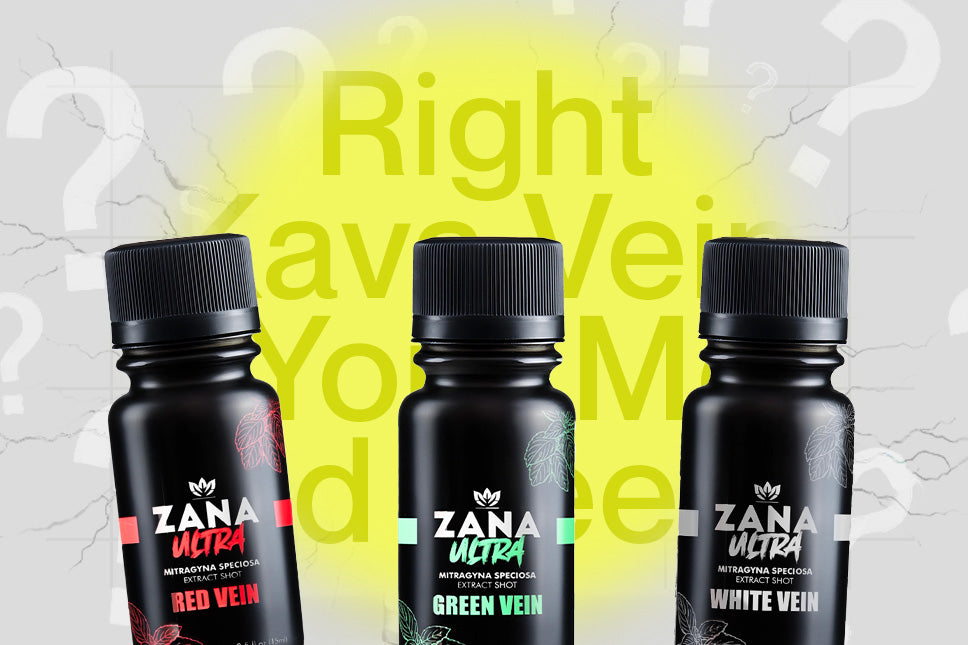How to Choose the Right Kava Vein: Understanding Red, White & Green for Your Mood and Needs