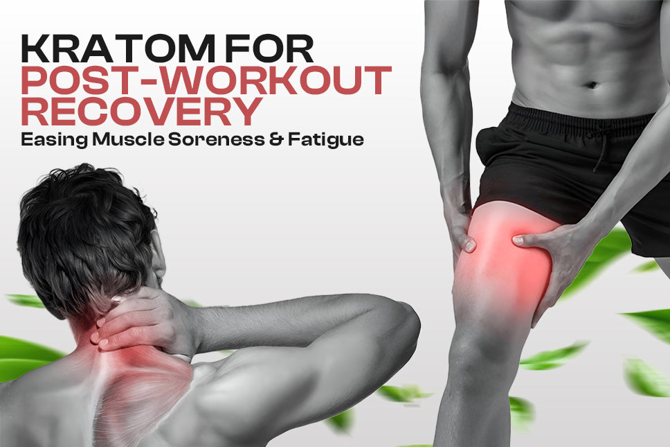 Alkaloids for Post-Workout Recovery: Easing Muscle Soreness and Fatigue