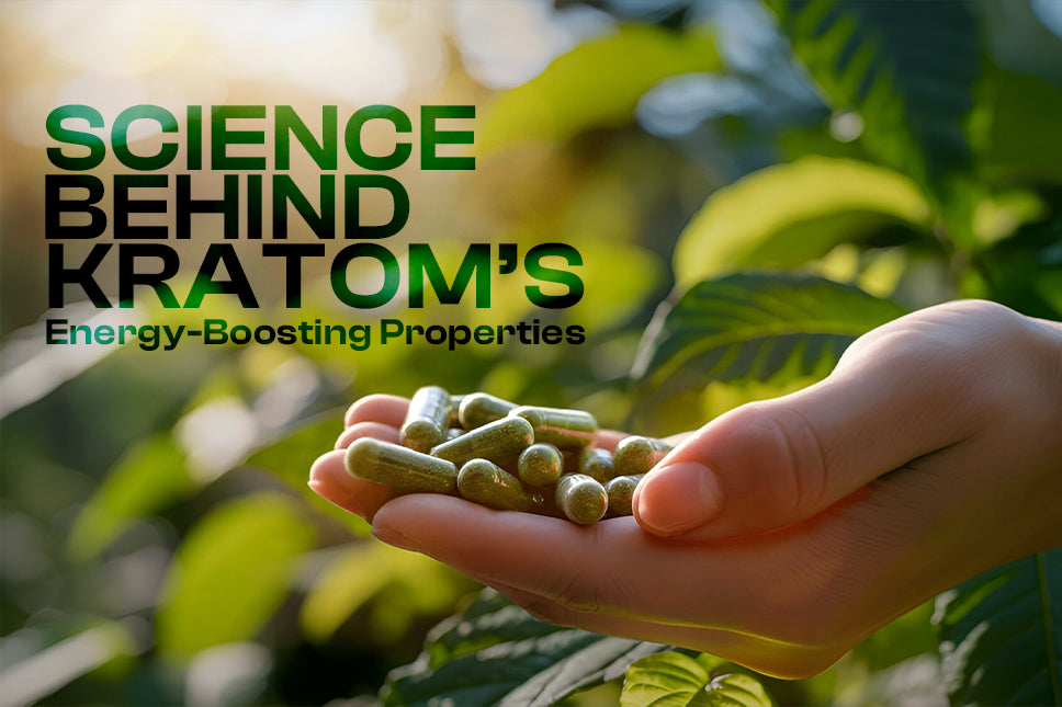 The Science Behind Alkaloids Energy-Boosting Properties