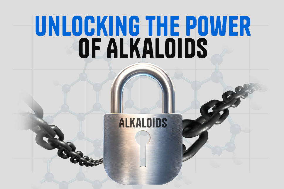 Unlocking the Power of Alkaloids: How Natural Compounds Boost Your Energy Drink’s Effectiveness
