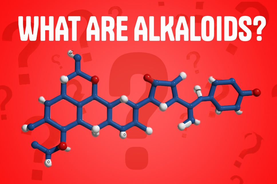 What Are Alkaloids? The Natural Powerhouses Fueling Your Energy Drink Boost