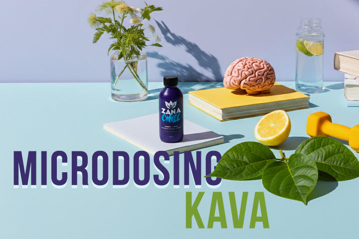 Microdosing Kava: Benefits, Safety, and Guidelines for Everyday Use