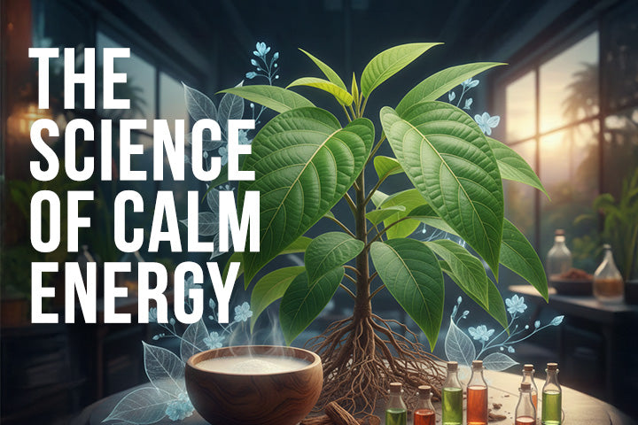 The Science of Calm Energy: Why Adaptogens Like Kava Are the Future of Focus